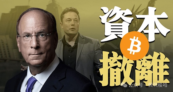 山寨币市场风云：这些潜力项目值得你紧盯