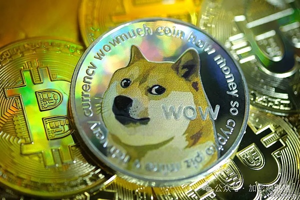 寻找下一枚妖币：我在加密货币市场淘金的实战经验